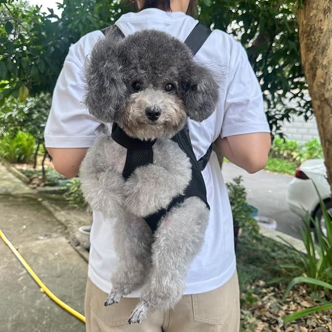 Pet Dog Carrier Backpack, Portable Breathable Mesh Chest Carrier, Polyester Woven Double Shoulder Pet Bag for Outdoor Adventures (Black, Medium)