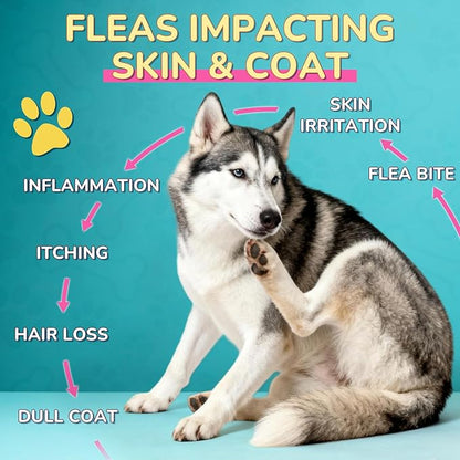 Flea Defense + Skin & Coat Support, Natural Flea and Tick Prevention for Dogs & Cats, Dog & Cat Flea Treatment with Pumpkin Seed & Omega-3/6/9, Flea Drops for All Breeds & Ages, Chicken Flavor
