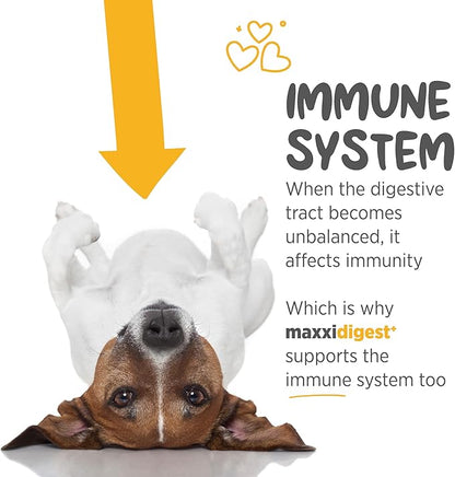 maxxipaws maxxidigest+ Prebiotic & Probiotic for Dogs 7oz | Dog Probiotic Powder with Advanced Digestive Enzymes for Gut Health & Immunity | Supports Digestion, Food Sensitivities & Itchy Skin