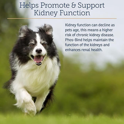 Rx Vitamins Phos-Bind - Kidney Support Supplement Powder - Phosphate Binder for Cats & Dogs for Kidney Health - Supports Normal Kidney Cleanse and Essential Kidney Care - 35g