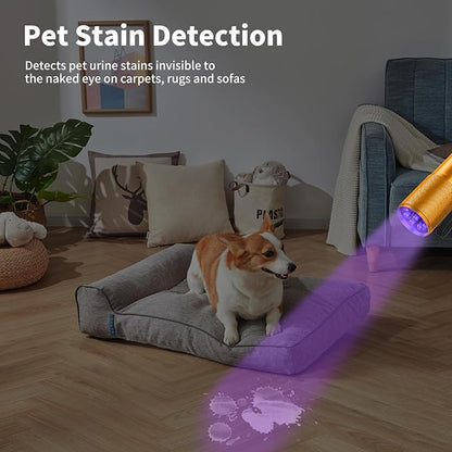 5 Pack UV Flashlight Black Light, 9 LED 395nm UV Light Blacklight Flashlights, Mini Portable Torch Pet Urine Detector for Dog/Cat Urine, Dry Stains(15xAAA Batteries Included(Gold))