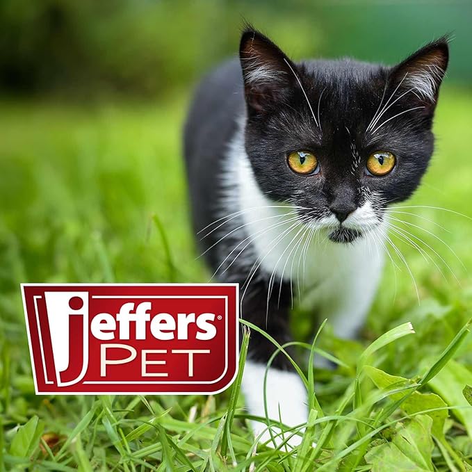Jeffers Pet Flea Buster Chewable Tablets for Cats and Kittens 7-15 lbs, Tuna Flavor Supplements, Monthly Cat Flea Support, Made in USA, Easy to Feed Cat Tablets, Travel Friendly - 6 Count