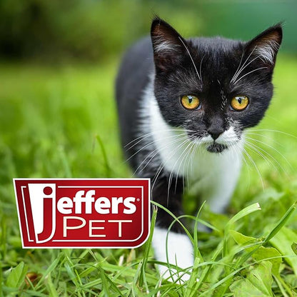 Jeffers Pet Flea Buster Chewable Tablets for Cats and Kittens 7-15 lbs, Tuna Flavor Supplements, Monthly Cat Flea Support, Made in USA, Easy to Feed Cat Tablets, Travel Friendly - 6 Count