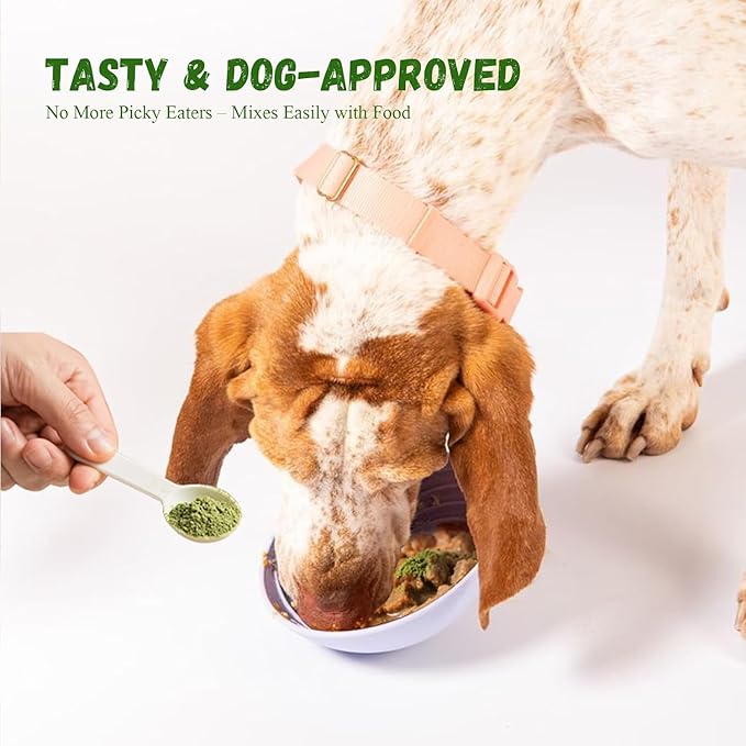 Dog Dental Care Powder - 300g Teeth Cleaning Powder for Dogs with Probiotic, Plaque & Tartar Control with Natural Enzymes, Fresh Breath for Small Medium Large Dogs