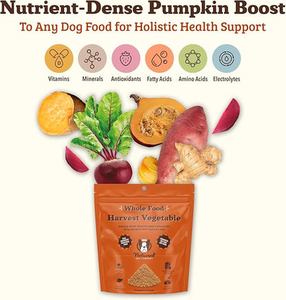 Natural Dog Company Pumpkin Digestive Support Granules Dog Food Topper - Fiber-Rich, Nutrient-Dense Superfood Blend for Gut Health, Holistic Care, Prebiotics