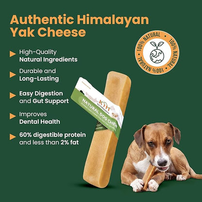 Authentic Himalayan Yak Cheese for Dogs - Medium (Pack of 3) - Sourced from Pristine Himalayan Foothill, Rawhide-Free, NO preservatives
