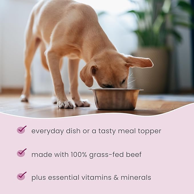 Bark & Whiskers Dehydrated Beef and Veggie Entrée, 3 lb., Makes 12 lbs. of Food for Dogs, Digestive Support, Vet Formulated, Non-GMO, Dr. Mercola