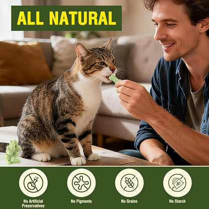 Freeze Dried Cat Treats All Natural Healthy Chicken Chewy Cats Snacks for All Breed