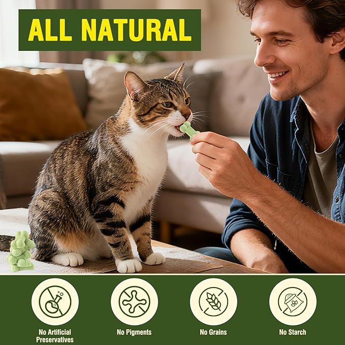 Crunchy Freeze-Dried Salmon Cat Treats – Natural & Healthy for Cats of All Breeds