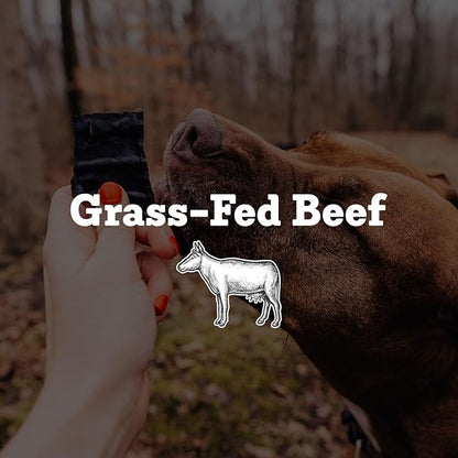 Farm Hounds - Beef Heart - Premium Natural Beef Heart Jerky for Dogs - Made from 100% Humanely Raised Cattle - Organ Treat - Great for Training & Treats - No Added Fillers - Made in USA - 4oz -2 Pack