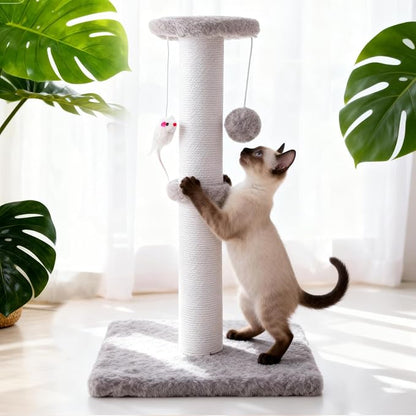 2 Pack Cat Scratching Post, 19.2in Kitten Scratcher Post, Sisal Rope with Hanging Ball and Mice for Indoor Kittens or Smaller Cats