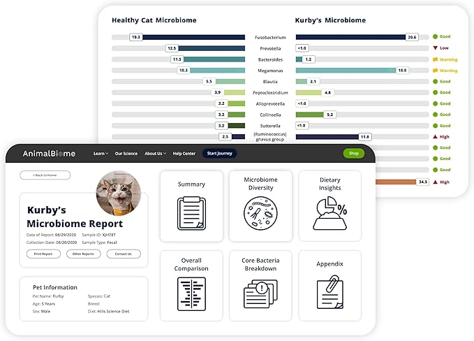 AnimalBiome Cat Probiotics Test Kit - Gut Microbiome Health Test - KittyBiome (Cats Outside The US)