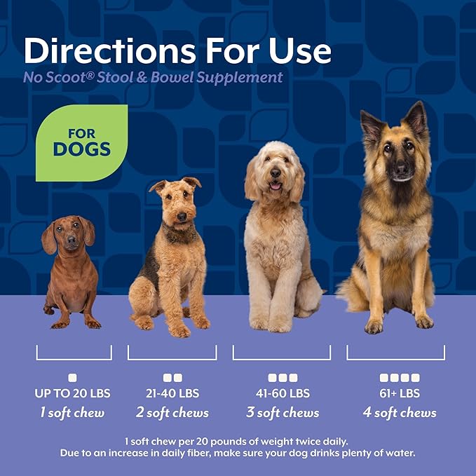 NaturVet - No Scoot for Dogs - 60 Soft Chews - Plus Pumpkin - Supports Healthy Anal Gland & Bowel Function - Enhanced with Beet Pulp & Psyllium Husk