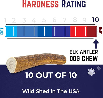 Devil Dog Pet Co. Elk Antlers for Dogs, Monster 9"+, 1 Pack, Grade A Long Lasting Chew for Aggressive Chewers, Premium USA Naturally Shed Antler – Healthy, No Odor, Durable Dog Chew