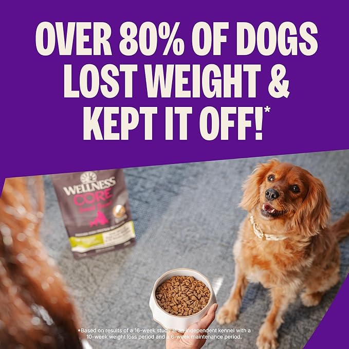 Wellness CORE Dry Dog Food, Small Breed, Grain-Free, High Protein, Natural, Healthy Weight Turkey & Chicken Recipe, (4-Pound Bag)