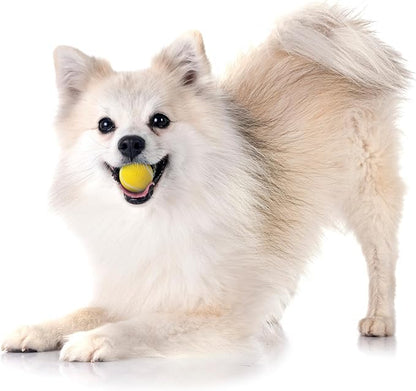 Playology Dog Toys | Squeaky Chew Ball - Bouncy Durable Floating Fetch Ball for Dogs, Value 3-Pack | Small Chicken Scented Toy - Easy to Clean and Made from Non Toxic Materials