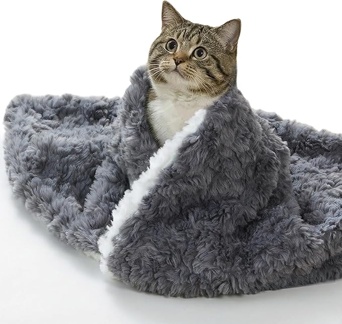 Cat Blanket for Indoor Cats Ultra-Soft Plush Small Blanket Machine Washable Cozy Calming for Kittens Cats Bed Couch Car 21"x18" Grey