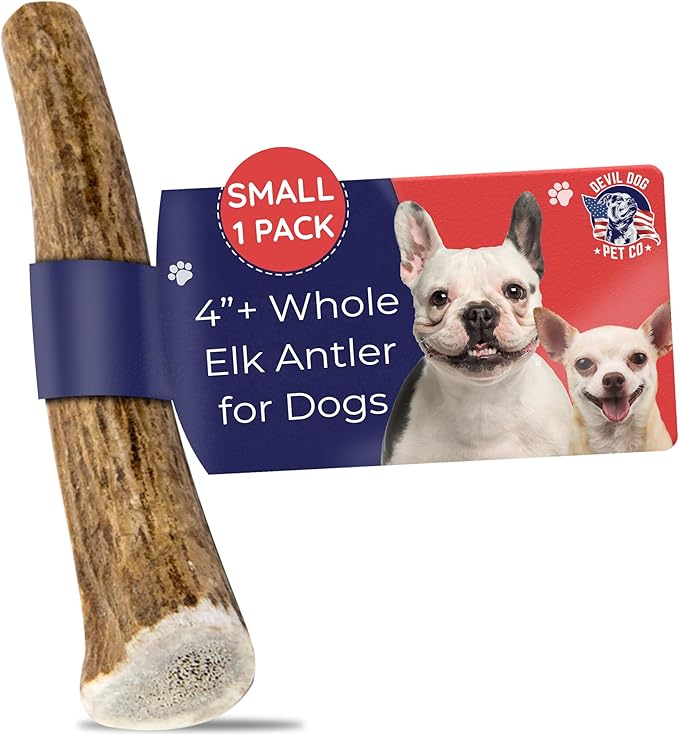 Devil Dog Pet Co. Elk Antlers for Dogs, Small 4"+, 1 Pack, Grade A Long Lasting Chew for Aggressive Chewers, Premium USA Naturally Shed Antler – Healthy, No Odor, Durable Dog Chew