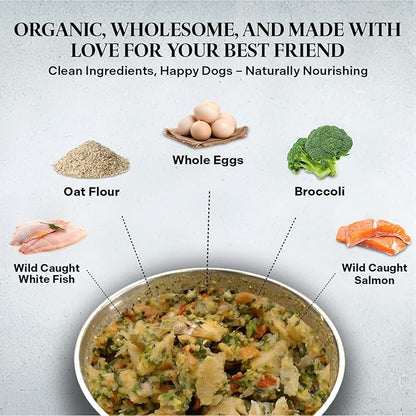 Healthy Dogma - PetMix Dehydrated Dog Food – Fish Dinner with Wild-Caught Alaskan Salmon & Whitefish – Clean Ingredient Dog Food – No Preservatives 10lbs (Bucket)