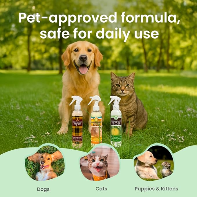 Best Shot Scentament Spa Botanical Body Splash Sweet Magnolia, 8 oz.