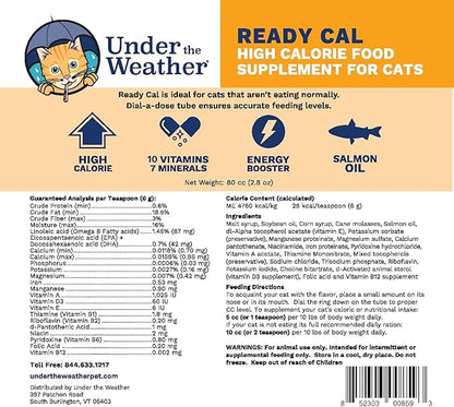 Under The Weather Pet | Ready Cal for Cats 100cc | High Calorie Supplement | Cat Weight Gainer and High Calorie Booster | 10 Vitamins, 7 Minerals & Omega Fatty Acids (2 Pack)