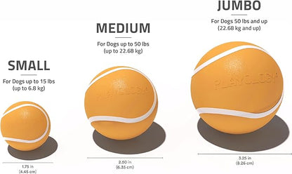 Playology Dog Toys | Squeaky Chew Ball - Bouncy Durable Floating Fetch Ball for Dogs | Medium Cheddar Cheese Scented Toy - Easy to Clean and Made from Non Toxic Materials