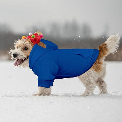 Dog Sweaters for Small Dogs Pet Sweater Solid Soft Brushed Fleece Dog Hoodie Clothes Pet Hoodie Sweatshirt with Pocket(Blue-XS)