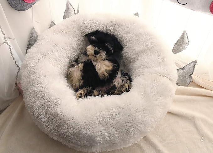 BODISEINT Modern Soft Plush Round Pet Bed for Cats or Small Dogs, Mini Medium Sized Dog Cat Bed Self Warming Autumn Winter Indoor Snooze Sleeping Cozy Kitty Teddy Kennel (20” D x 8'' H, White)