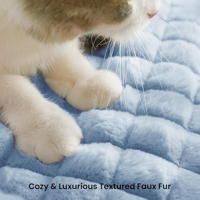 Cute Small & Medium Dog Couch Bed – Supportive & Fluffy Pet Sofa with Faux Rabbit Fur Washable Cover in 3D Diamond Pattern, 36" Light Blue