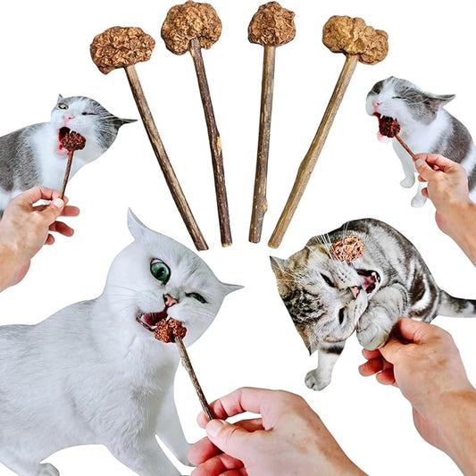 4 PCS Silvervine Stick Cat Toy with Gall Fruit – Natural Lollipop-Shaped Matatabi Chew Toy for Cats – Catnip Alternative for Teeth Cleaning, Anxiety Relief & Interactive Play – 4.8" Cat Dental Toy