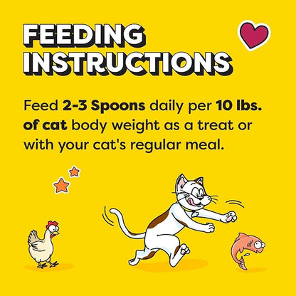 Temptations Lickable Spoons Adult Wet Cat Treat, Tasty Chicken and Savory Salmon Flavor, 4 Spoons, Pack of 12 (48 Total Treats)