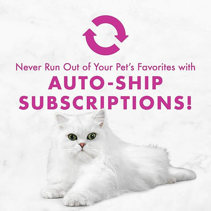 Purina Fancy Feast Chicken Feast Classic Grain Free Wet Cat Food Pate - (Pack of 24) 3 oz. Cans