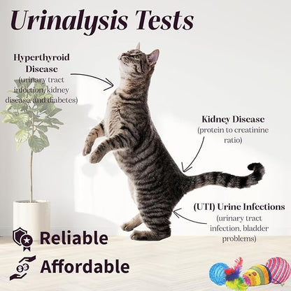 One Step Pet Urine Testing Strips, 50 x Urinalysis Parameter Tests for Dogs, Cats, Vets, Accurate Testing for Veterinarians, Detects UTI, Diabetes, Bladder, Kidney, Liver, SG, pH, Glucose