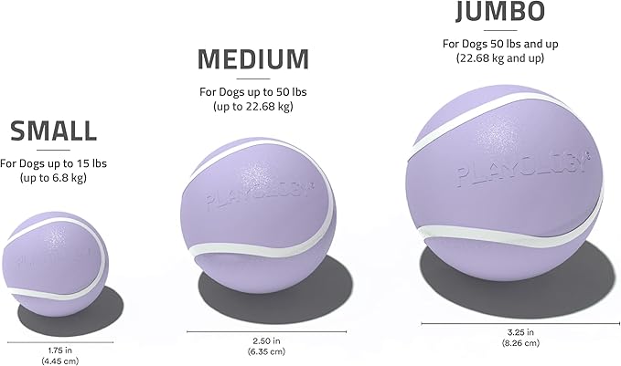 Playology Dog Toys | Squeaky Chew Ball - Bouncy Durable Floating Fetch Ball for Dogs, Value 3-Pack | Small Lamb Scented Toy - Easy to Clean and Made from Non Toxic Materials