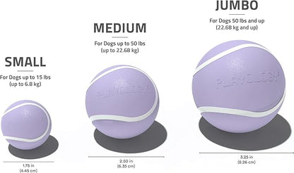 Playology Dog Toys | Squeaky Chew Ball - Bouncy Durable Floating Fetch Ball for Dogs, Value 3-Pack | Small Lamb Scented Toy - Easy to Clean and Made from Non Toxic Materials