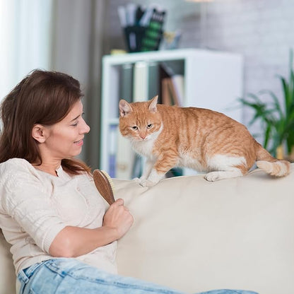 TAKAVU Natural White Boar Bristle Cat Brush - Gentle Grooming Tool for Sensitive Skin, Smoothing Fur & Healthy Shine - Soft Pet Brush