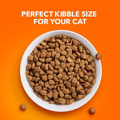 IAMS Proactive Health Adult Healthy Dry Cat Food with Chicken, 16 lb. Bag