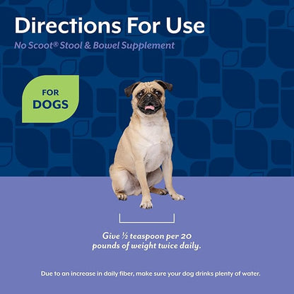 NaturVet - No Scoot for Dogs - Plus Pumpkin - Supports Healthy Anal Gland & Bowel Function - Enhanced with Beet Pulp & Psyllium Husk (5.4oz Powder)