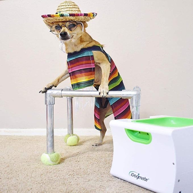 Small Interactive Ball Launcher with Rechargeable, Automatic Dog Ball Thrower for Mini Dog (Small Machine with 3 Balls)