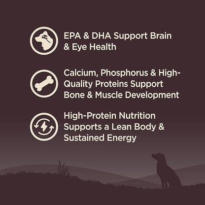 Wellness CORE Puppy Dry Dog Food, Small Breed, Grain-Free, High Protein, Natural, Turkey & Salmon Recipe, (12-Pound Bag)