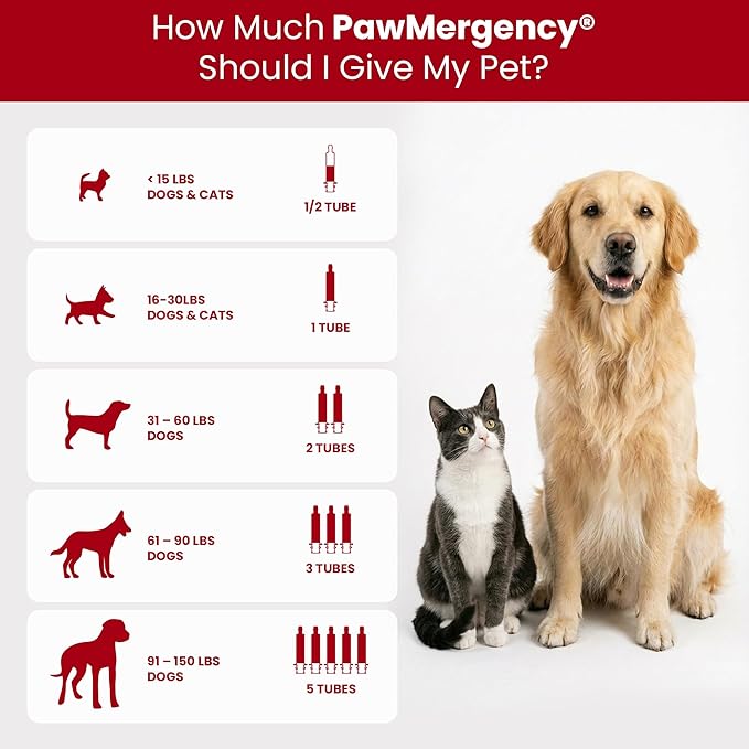 PawMergency – Activated Charcoal First Aid Kit Emergency Rescue for Dogs, Cats, Puppy & Pet Poison Kit, Camping Survival Remedy Essential,Oral Anti Diarrhea Digestive Paste Ready Absorb Toxins (30mL)