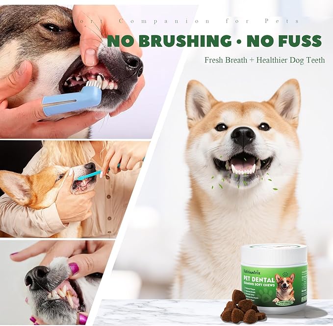 Dog Teeth Cleaning Chews, Dog Dental Chews for Plaque & Tartar Control with Natural Enzymes, Dental Care for Dogs with Probiotic, Fresh Breath for Small Medium Large Dogs