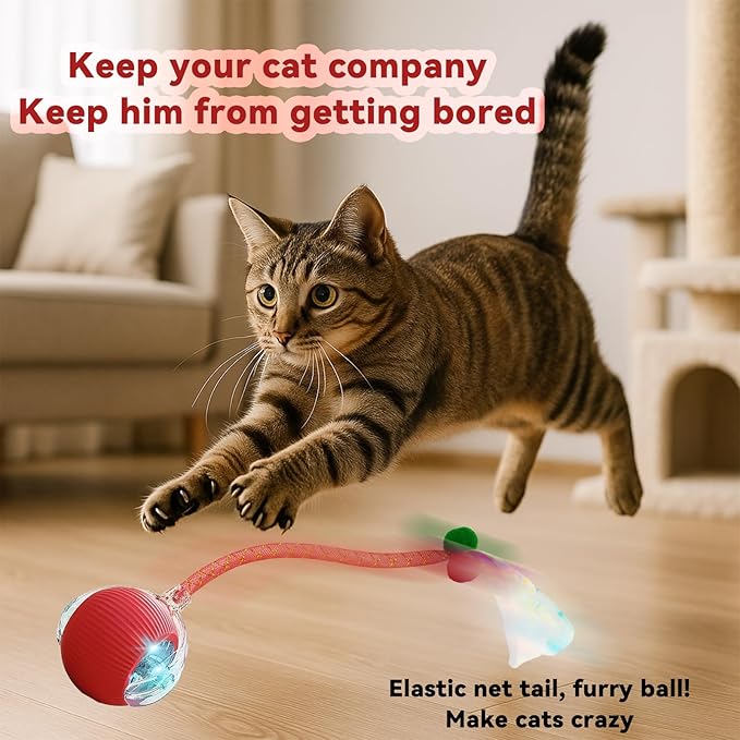 Christmas Stocking Stuffer Speedy 2.0 Tail 2 Packs Interactive Cat Toys for Indoor Cats, Automatic Cat Toy with Elastic Mesh Tail, Electric Rolling Ball on Carpet, Chirping and Motion Activate Cat