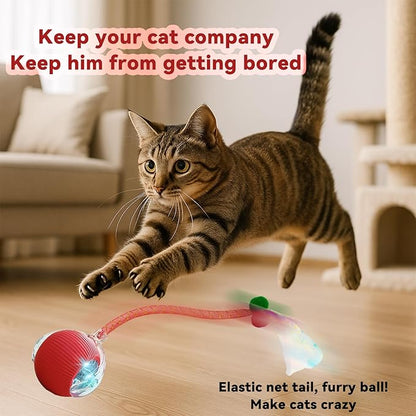 Christmas Stocking Stuffer Speedy 2.0 Tail 2 Packs Interactive Cat Toys for Indoor Cats, Automatic Cat Toy with Elastic Mesh Tail, Electric Rolling Ball on Carpet, Chirping and Motion Activate Cat
