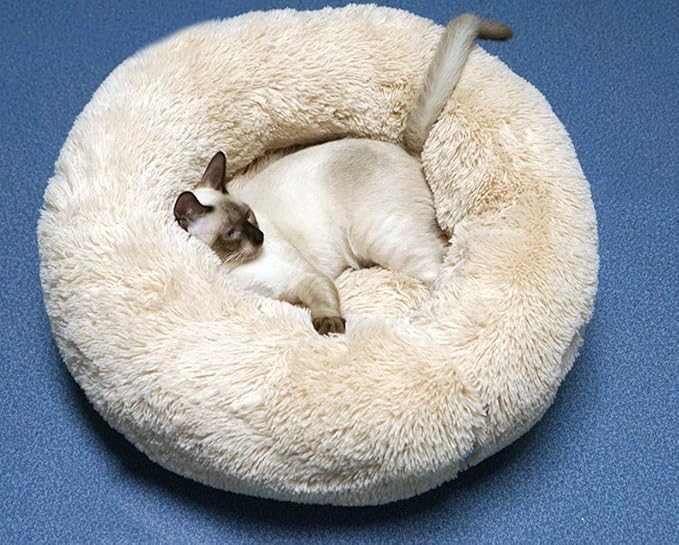 BODISEINT Modern Soft Plush Round Pet Bed for Cats or Small Dogs, Mini Medium Sized Dog Cat Bed Self Warming Autumn Winter Indoor Snooze Sleeping Cozy Kitty Teddy Kennel (20'' D x 8'' H, Champagne)