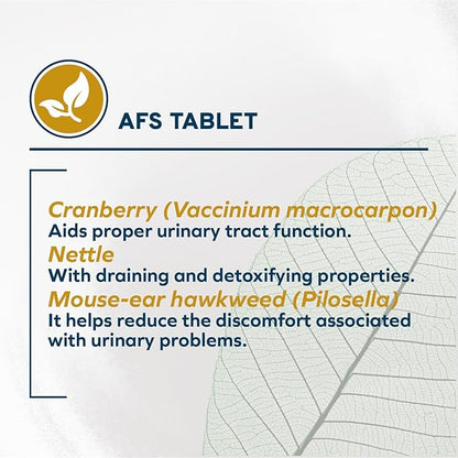 Forza10 Urinary Tract Cat Food - 0.88 Pounds, Dry Cat Food Formula with Fish Protein & Cranberry, Limited Ingredient Formula for Urinary Tract Health, FLUTD & Struvite Stone Management, Fish Flavor