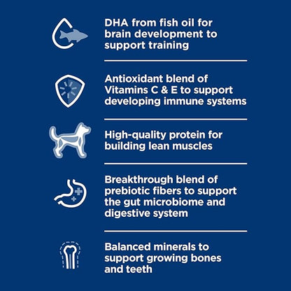 Hill's Science Diet Puppy, Puppy Premium Nutrition, Wet Dog Food, Chicken & Rice Stew, 12.5 oz Can, Case of 12
