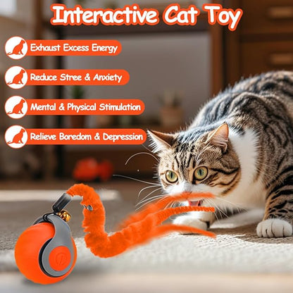 Interactive Cat Ball Toy, Self Rolling Ball with Cover Anti-Scratch for Bored Indoor Cat Chasing, Obstacle Avoidance Smart Cat Toys for Enrichment, Motion Activated Toys to Keep Them Busy （Orange）