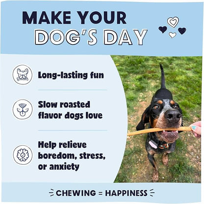 Pawstruck All-Natural 9" Bully Sticks for Dogs - Long Lasting, Rawhide-Free, Low Odor & Grain-Free Dental Chew Treat - Healthy Single Ingredient, 100% Real Beef - 1 lb Bag