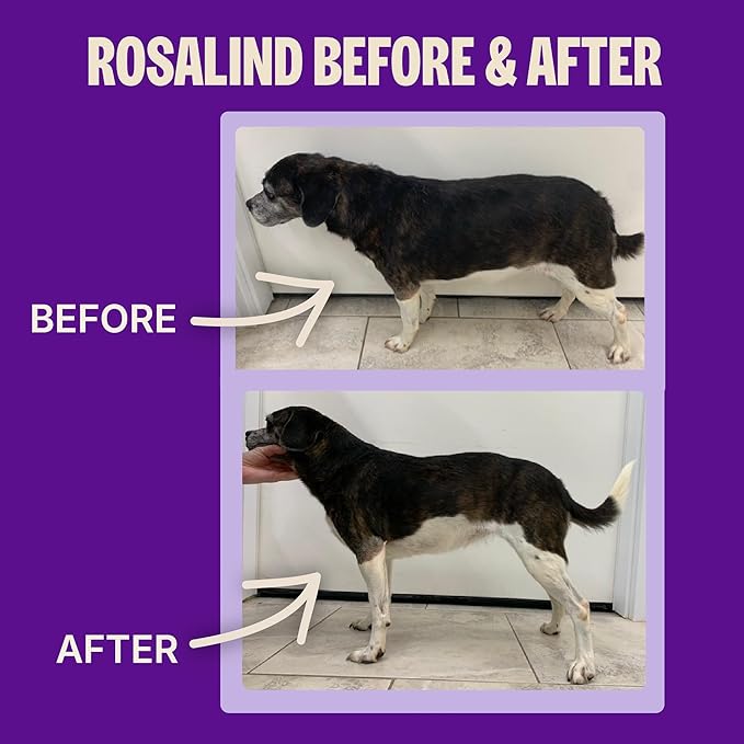 Wellness CORE Dry Dog Food, Small Breed, Grain-Free, High Protein, Natural, Healthy Weight Turkey & Chicken Recipe, (12-Pound Bag)